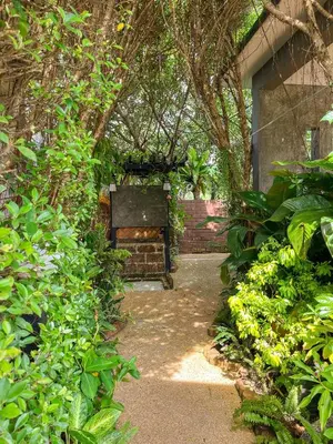 a garden with a bench in the middle of plants at BaanMee Phuket near Chalong Pier in Chalong