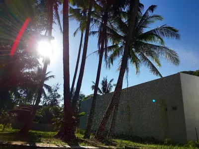 a group of palm trees in front of a building at Sense of Yanui in Nai Harn Beach