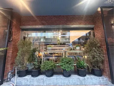 a store window with a bunch of potted plants at MORE Patong Hotel in Patong Beach