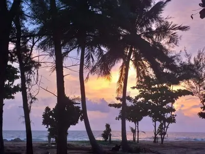 a group of palm trees on the beach at sunset at Tony Home and Restaurant in Karon Beach