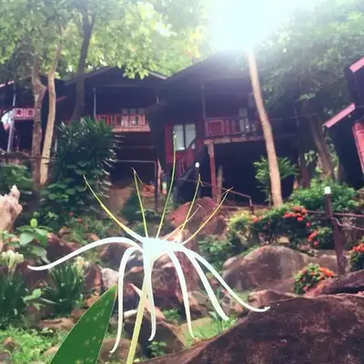 Phi Phi Green Hill Resort
