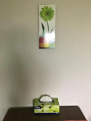 a picture of a flower on a wall above a table at D-condo mine in Kathu