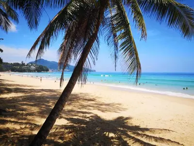 a palm tree on a beach with people in the water at MA MAISON BOUTIQUE HOTEL. in PHUKET in Bang Tao Beach