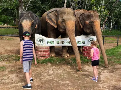 two children are standing next to two elephants at Snooze Inn Phuket - Free Shuttle to Bang Rong Pier in Ban Pa Khlok