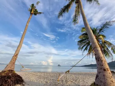 two palm trees on a beach with a hammock at Backpack Hostel Kohyaoyai in Ko Yao Yai
