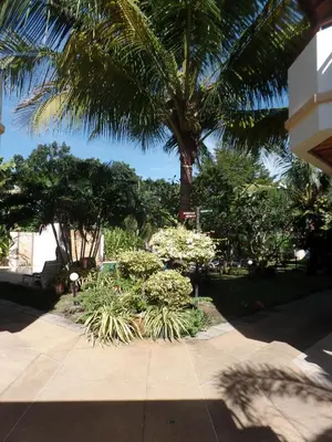 a sidewalk with plants and a palm tree at Babylon Pool Villas in Nai Harn Beach