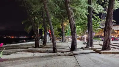 a sidewalk with a bunch of trees at night at Sea Beach Paradise in Patong Beach