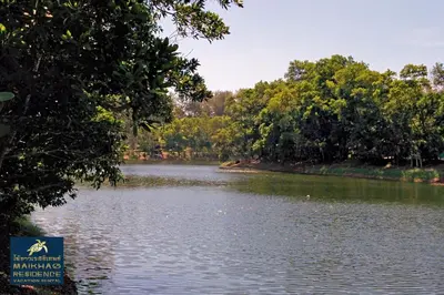 a view of a river with trees in the background at MaiKhao Residence in Mai Khao Beach