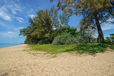 a sandy beach with trees and grass on it at Baan Mai Khao in Mai Khao Beach