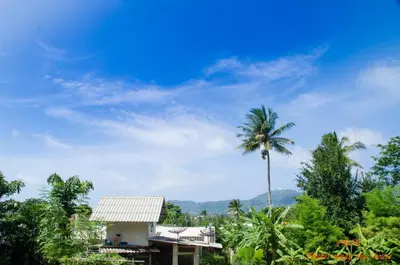 a palm tree in front of a house at Phuket Muay Thai House in Chalong