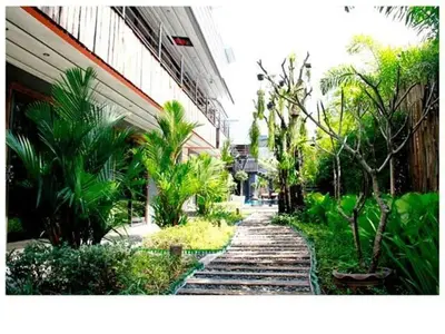 a garden with palm trees and a walkway next to a building at Nicky's Handlebar in Patong Beach