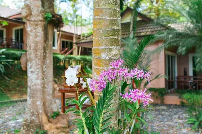 a tree with purple and white flowers in front of a house at Thai Modern Resort & Spa 