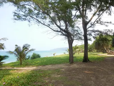 a grassy hill with trees and the ocean in the background at Holiday Village And Natural Garden Resort in Karon Beach