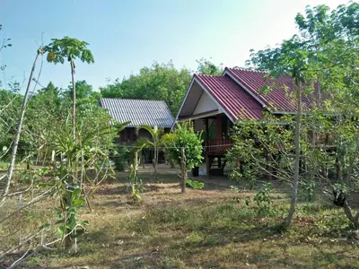 a house with red roofs in a forest at Bang Hon Homestay in Ko Yao Noi