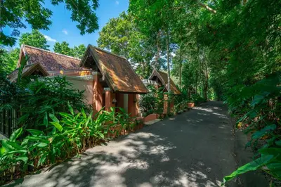 a road leading to a house with trees at Suuko Villas in Chalong