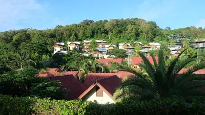a group of houses on a hill with trees at Rehab Hostel in Phi Phi Don