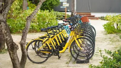 a row of yellow bikes parked next to each other at SAii Phi Phi Island Village in Phi Phi Don