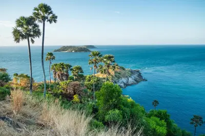 a group of palm trees on a hill next to the ocean at Ramada Plaza by Wyndham Chao Fah Phuket in Phuket Town