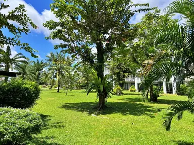 a palm tree in the middle of a field of grass at Allamanda Laguna Phuket by RESAVA in Bang Tao Beach