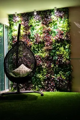 a green wall with a chair in front of it at Sunset Bliss in Klong Muang Beach
