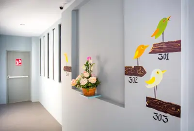 a hallway with birds decals on the wall at iNest Poshtel in Kata Beach