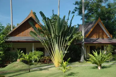 a house with a palm tree in front of it at Palm Garden Resort in Rawai Beach