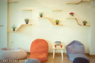 a room with two chairs and a stair with plants at Cat Story Hotel in Patong Beach
