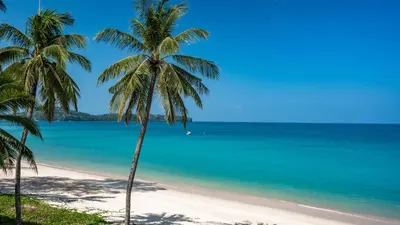 a beach with palm trees and the ocean at SAii Laguna Phuket in Bang Tao Beach