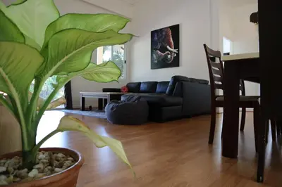 a living room with a large green plant in a pot at Relax private Pool Villas - 4 bedroom villas in Ao Nang Beach