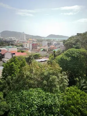 a view of a city with trees and buildings at Emerald Terrace Resort in Patong Beach