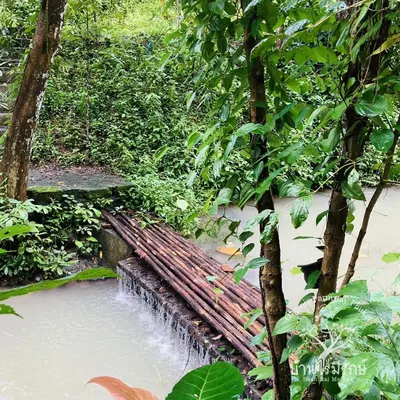 a wooden bench in the middle of a creek at Baan Rai Me Rak Organic Farmstay in Ban Pa Khlok