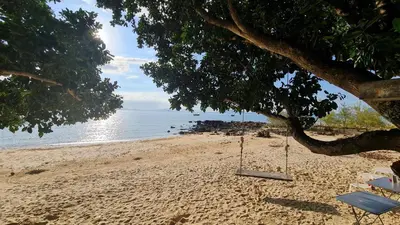 a swing hanging from a tree on a beach at Bliss Resort Krabi in Klong Muang Beach