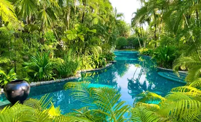 a pool in the middle of a jungle with palm trees at Villa in the Garden, Surin Beach with private spa. in Surin Beach