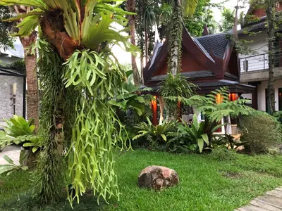 a garden with palm trees and a house at Villa in the Garden, Surin Beach with private spa. in Surin Beach