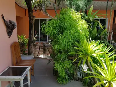 a garden with a bench and some plants at Discovery House Hotel SHA Plus in Nai Yang Beach