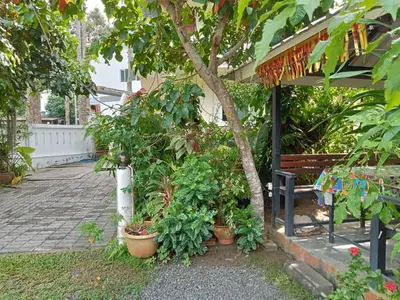 a tree in a garden next to a bench at Wattana Bungalow in Nai Yang Beach