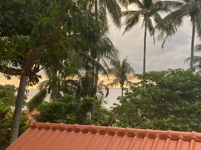 a view of the ocean from a resort with palm trees at Kata White Villas in Kata Beach