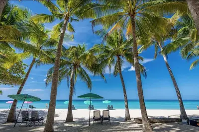 a group of palm trees on a beach with chairs and umbrellas at Resort Boutique 2BR Villa Dalaa 4, Private Pool, Full Service, 5 min Drive Kamala Beach in Kamala Beach