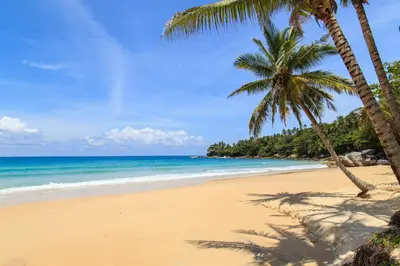 a beach with palm trees and the ocean at Aristo Resort Surin Beach K02 in Surin Beach