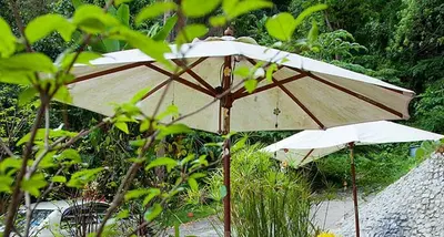 an umbrella sitting in the middle of a garden at Grand View in Patong Beach