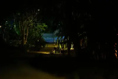 a view of a beach at night with trees at Annie Meen's place Koh Yao Noi in Ko Yao Noi