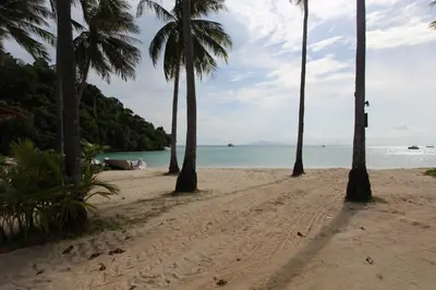 a row of palm trees on a beach with the ocean at Phi Phi Ba Kao Bay Resort in Phi Phi Don