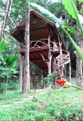 a tree house in the middle of a forest at Treehouse Holidays-Love Nest in Ko Yao Noi
