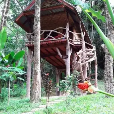 Treehouse Holidays-Love Nest