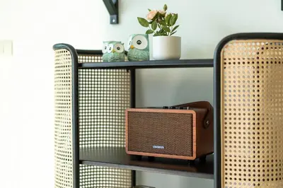 a shelf with a radio and two owls on it at Holiday apartment at Palms, 100 meters to beach in Kamala Beach