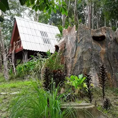 Treehouse Holidays-Little house