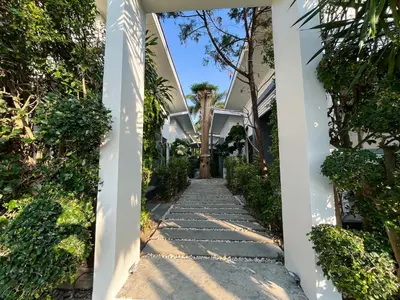 a pathway leading to a house with a palm tree at Purepamvillage in Kata Beach