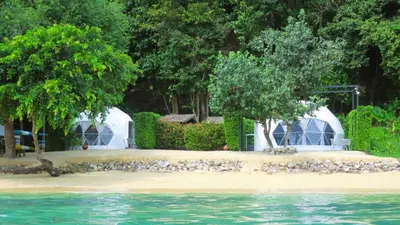 a flock of birds on the shore of the water at Touch Glamping Koh Yao Noi ทัช แกรมปิ้ง เกาะยาวน้อย in Ko Yao Noi