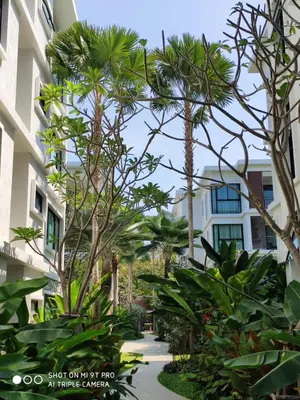 a courtyard with palm trees and a building at The Title Rawai Beach West Wing by EHM in Rawai Beach