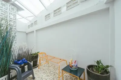 a room with plants and a white wall at Botan Boutique Hotel in Patong Beach